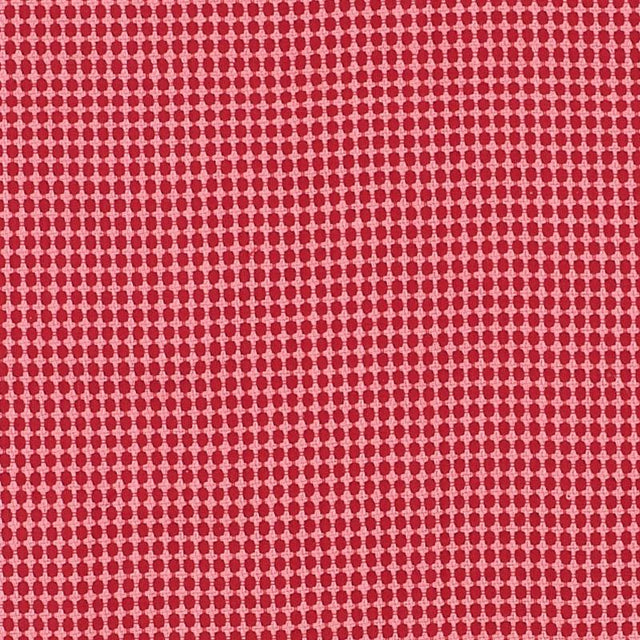 Schumacher Zipster Red & Pink Fabric