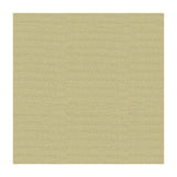 Kravet Jet Setter Silver Fabric