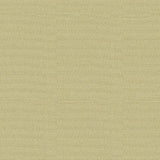 Kravet JET SETTER SILVER Upholstery Fabric