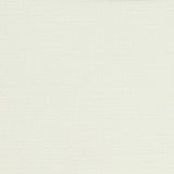 Schumacher Langham High Performance Union Snow Fabric