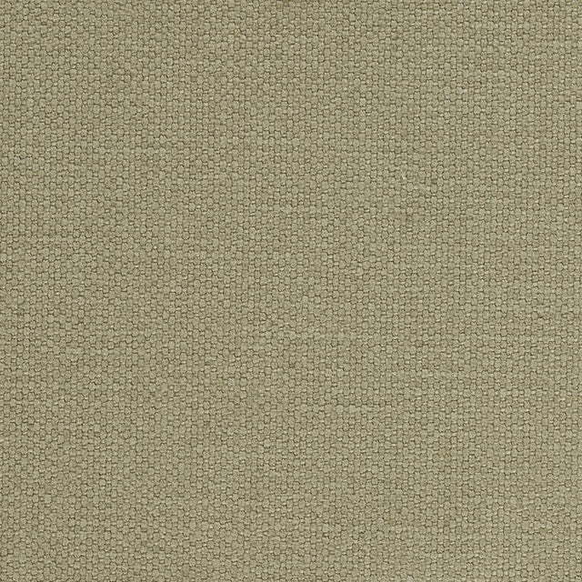 Schumacher Langham High Performance Union Thyme Fabric
