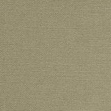 Schumacher Langham High Performance Union Thyme Fabric