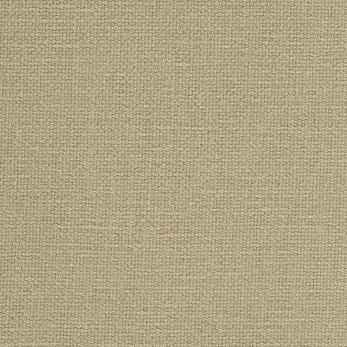 Schumacher Langham High Performance Union Doe Fabric