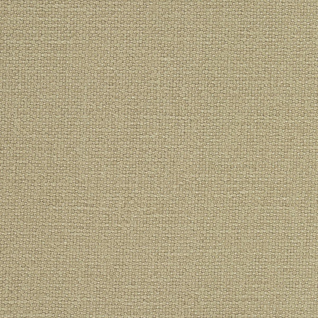 Schumacher Langham High Performance Union Doe Fabric