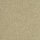 Schumacher Langham High Performance Union Doe Fabric