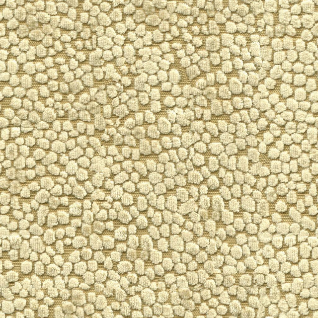 Kravet KORI GOLD Upholstery Fabric