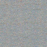 Kravet CHALCEDONY VAPOR Upholstery Fabric