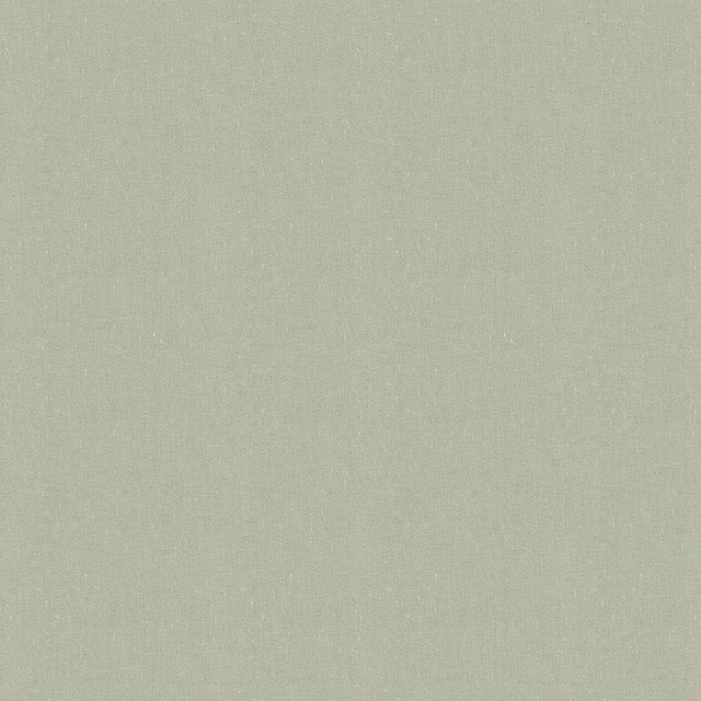 Kravet NOLA VAPOR Fabric