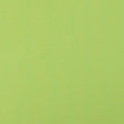 Schumacher Langham High Performance Union Chartreuse Fabric