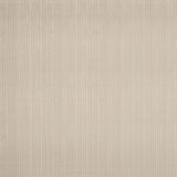 Schumacher Summer Stripe Indoor/Outdoor Shell Fabric