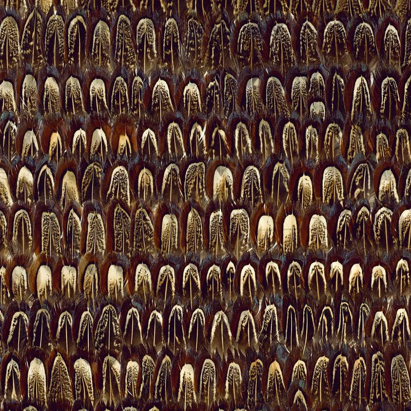 Schumacher Caumsett Sable Wallpaper