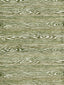 Scalamandre Muir Woods Moss Fabric