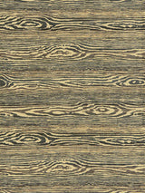Scalamandre Muir Woods Ash Fabric