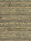 Scalamandre Muir Woods Ash Fabric
