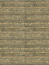 Scalamandre Muir Woods Ash Fabric