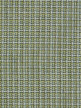 Scalamandre Laterite Leaf Fabric