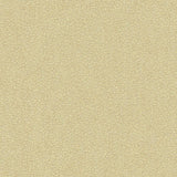 Kravet JATOBA OYSTER Upholstery Fabric