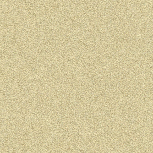 Kravet JATOBA OYSTER Upholstery Fabric