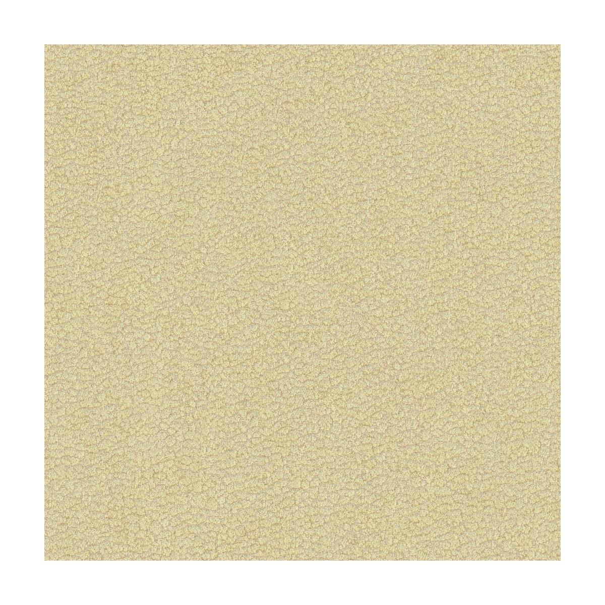 Kravet Jatoba Oyster Fabric