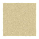 Kravet Jatoba Oyster Fabric