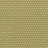 Kasmir Come And Go Sprout Fabric