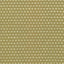Kasmir Come And Go Sprout Fabric