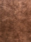 Scalamandre Elkhorn Bison Fabric