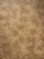 Scalamandre Elkhorn Fawn Fabric