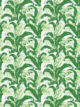 Scalamandre Tropique Palm Fabric