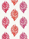 Grey Watkins Coral Reef Embroidery Passion Fruit Fabric