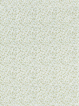 Scalamandre Meadow Embroidery Spring Rain Fabric