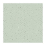 Kravet SUNSTONE SPA Fabric