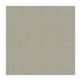 Kravet SUNSTONE HAZE Fabric