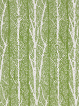 Scalamandre Birch Weave Spring Green Fabric