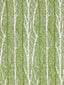 Scalamandre Birch Weave Spring Green Fabric