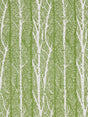 Scalamandre Birch Weave Spring Green Fabric