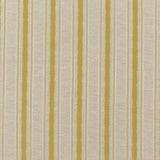 Threads RATTAN STRIPE CITRUS Drapery Fabric