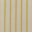 Threads RATTAN STRIPE CITRUS Drapery Fabric