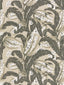 Scalamandre Tropique Stone Fabric