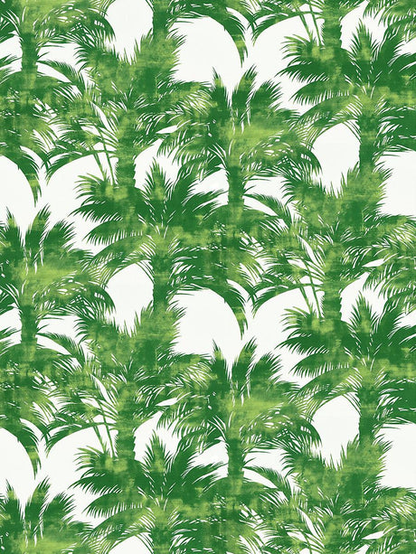 Scalamandre Palm Print Palm Fabric