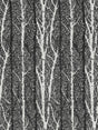 Scalamandre Birch Weave Shadow Fabric