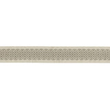 Schumacher Sunset Strip Tape Platinum Trim