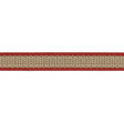 Schumacher Sunset Strip Tape Sunset Trim