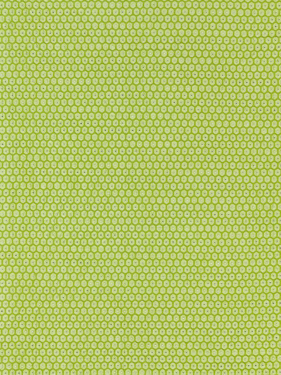 Scalamandre Honeycomb Weave Kiwi Fabric