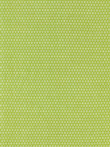 Scalamandre Honeycomb Weave Kiwi Fabric
