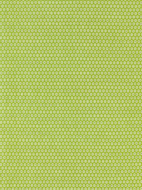 Scalamandre Honeycomb Weave Kiwi Fabric