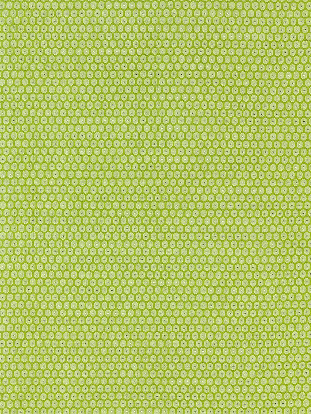 Scalamandre Honeycomb Weave Kiwi Fabric
