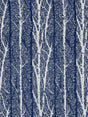 Scalamandre Birch Weave Cobalt Fabric