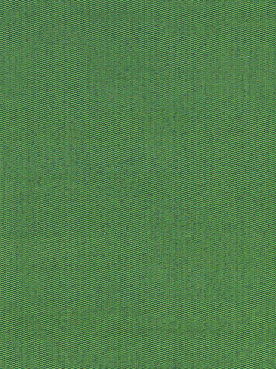 Scalamandre Reed Texture Palm Fabric