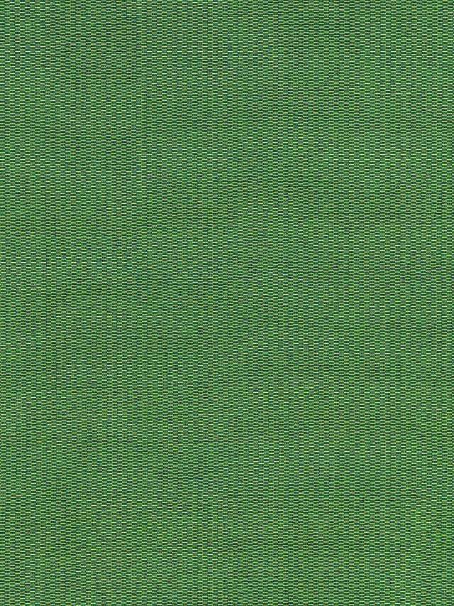 Scalamandre Reed Texture Palm Fabric